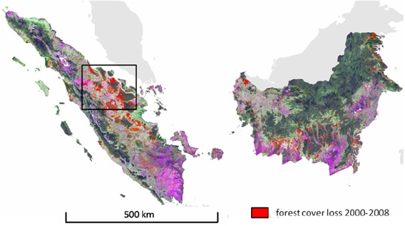 Forest cover loss for Sumatera and Kalimantan mapped at moderate spatial resolution for the 2000&ndash;2008 interval superimposed on a Landsat image composite (bands 5/7/4 as R/G/B). Image and caption courtesy of Broich 2011 / mongabay.com