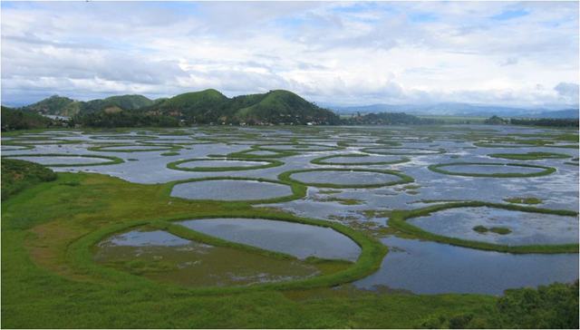 Loktak Lake, Manipur, India. neceer.org.in