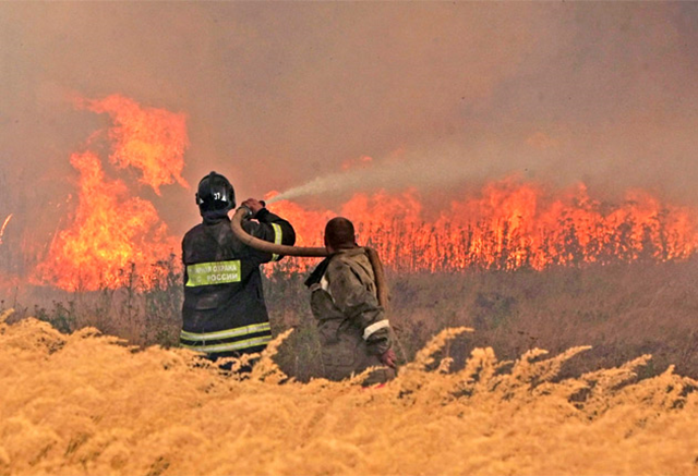 Firefighters tackle flames near the village of Kustaryovka in the Ryazan region of Russia, 11 August 2010, as the wildfires continued to fan out across the country and head towards the contaminated Chernobyl nuclear plant. EPA / independent.co.uk