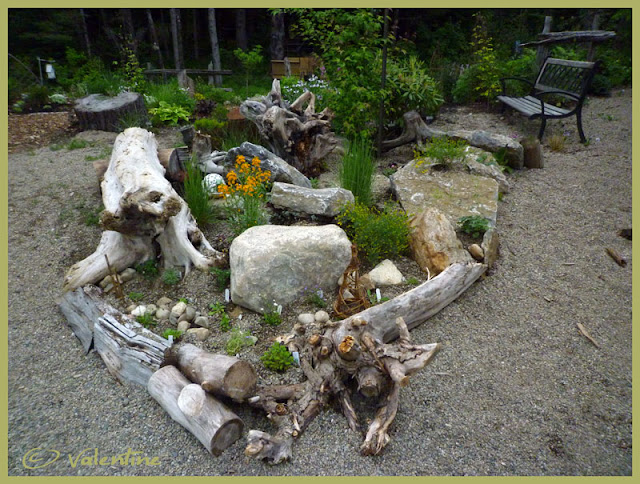 Jardin alpin MiniRocailleJardinAlpin10%2006%2003_84RM