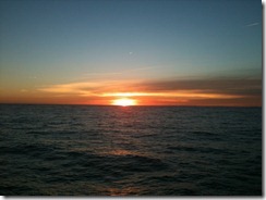 IMG_0226 IMG_0226
