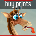 Buy Print