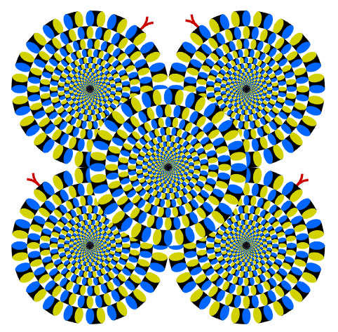 [spinning-wheel-illusion.gif]