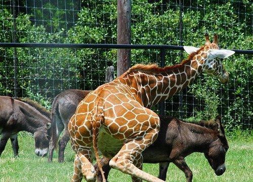 [1257823190347358003020[3].jpg]