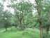 P1100538.JPG