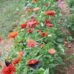 IMG_2580.JPG