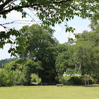 IMG_3002.JPG