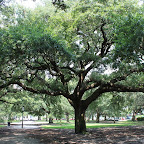 IMG_2976.JPG