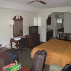 01.08.2010 - Savannah