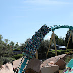 IMG_3937.JPG