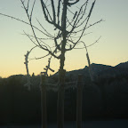 DSC08932.JPG