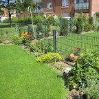 Garten Juli 2009