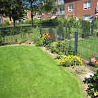 Garten 27. Juli 2009