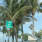 IMG_4732.JPG