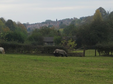 Severn Way Walk 171009 060 Severn Way Walk 171009 060