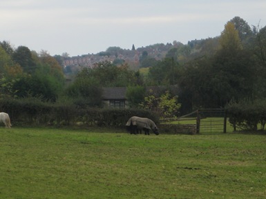 Severn Way Walk 171009 060