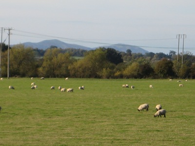 Severn Way Walk Stage 19 181010 010