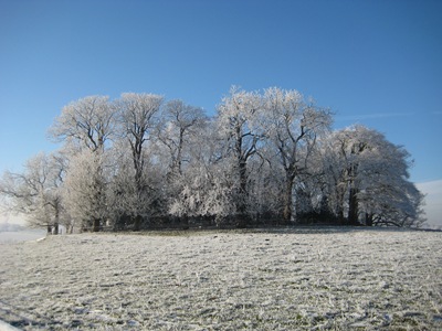 Muxton Marsh Nov, Dec 2010 070