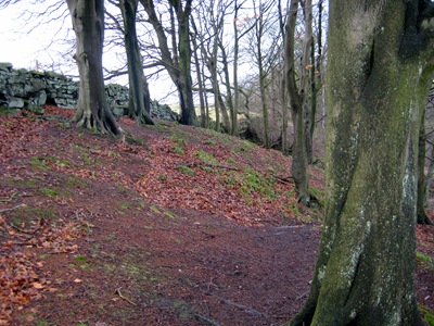 Heptonstall Circular 01-01-16 Heptonstall Circular 01-01-16