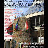 Daliborka v Bikinách - koncept