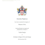 CV 01.diplomy