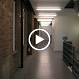 movie vystava chelsea