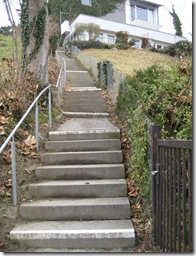 Picture 048