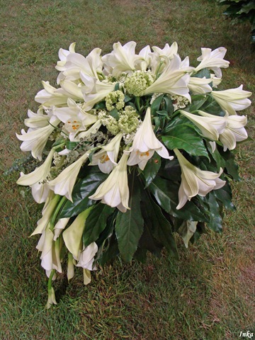 [KopiaDSC051512.jpg]