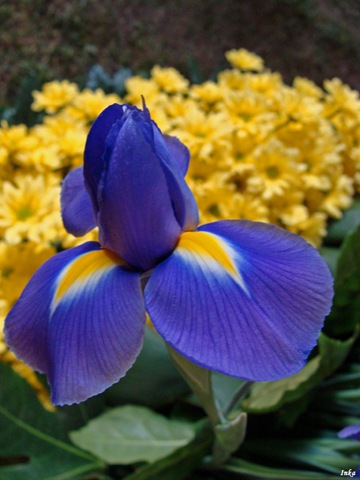 [KopiaDSC051822.jpg]