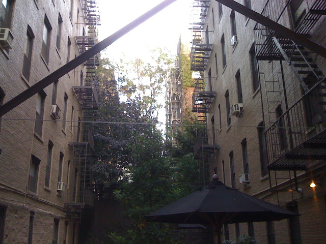 Backyard Backyard