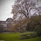 Viajar sin prisa a Zurich, Suiza