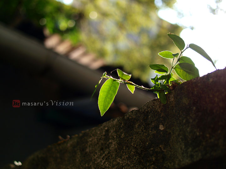 [PC161329.jpg]