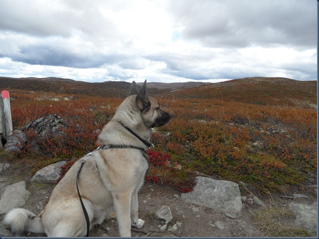 17.09 øyvassrunden 014