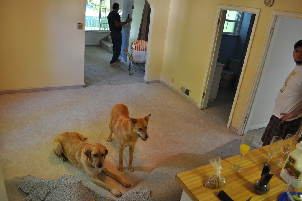 [diningroom[7].jpg]