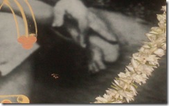 Sai_Baba_Charan_2