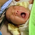 DSCF6511.JPG