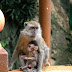 DSCF6637.JPG