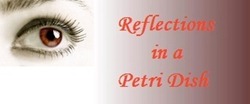 Visible Cultural Blog - Reflections in a Petri Dish Visible Cultural Blog - Reflections in a Petri Dish
