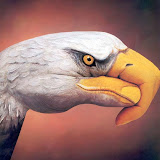 Enteresan