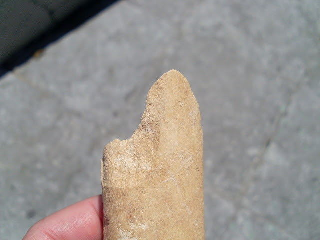 Un hallazgo menor (algo pequeñito) SL372122