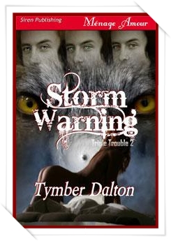 Storm Warning * Book 2 *