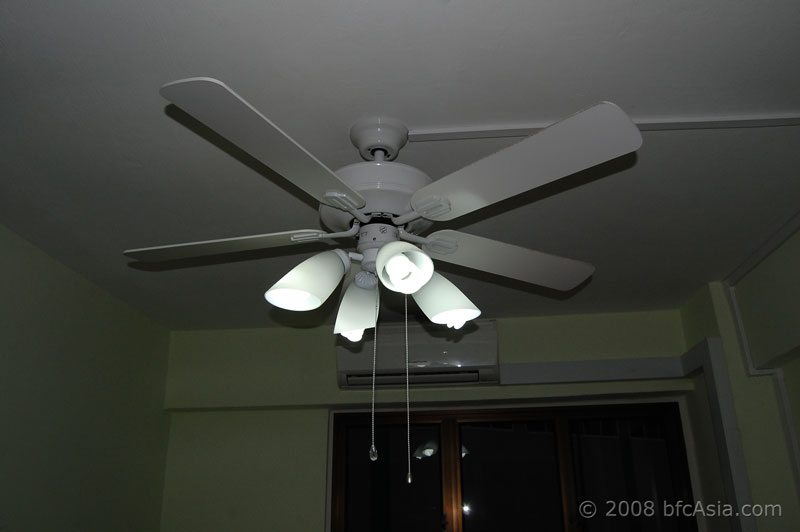 Ceiling Fan - RENOVATION WORKS - RenoTalk.com ™