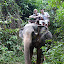 Me an Alan enjoy an elephant...