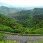The few from a few dozen seemingly completely pointless steps in the middle of nowhere