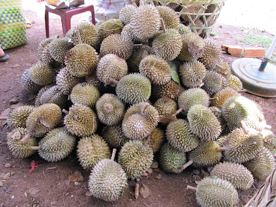 Durian - they smell like crap!