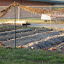 renemarie's Gail's half acre garden