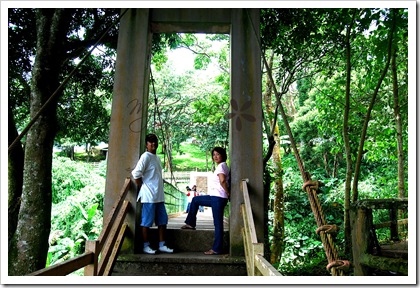 ph-bridge3