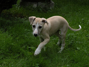 DSCN8477.jpg