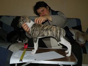 DSCN8651.jpg