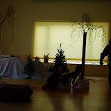 IMGP0291.JPG